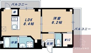 グランディール江坂の物件間取画像